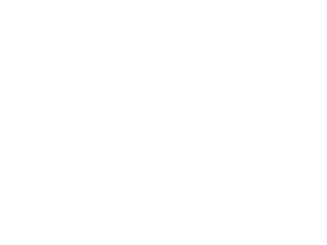 LexCap Group LLC logo