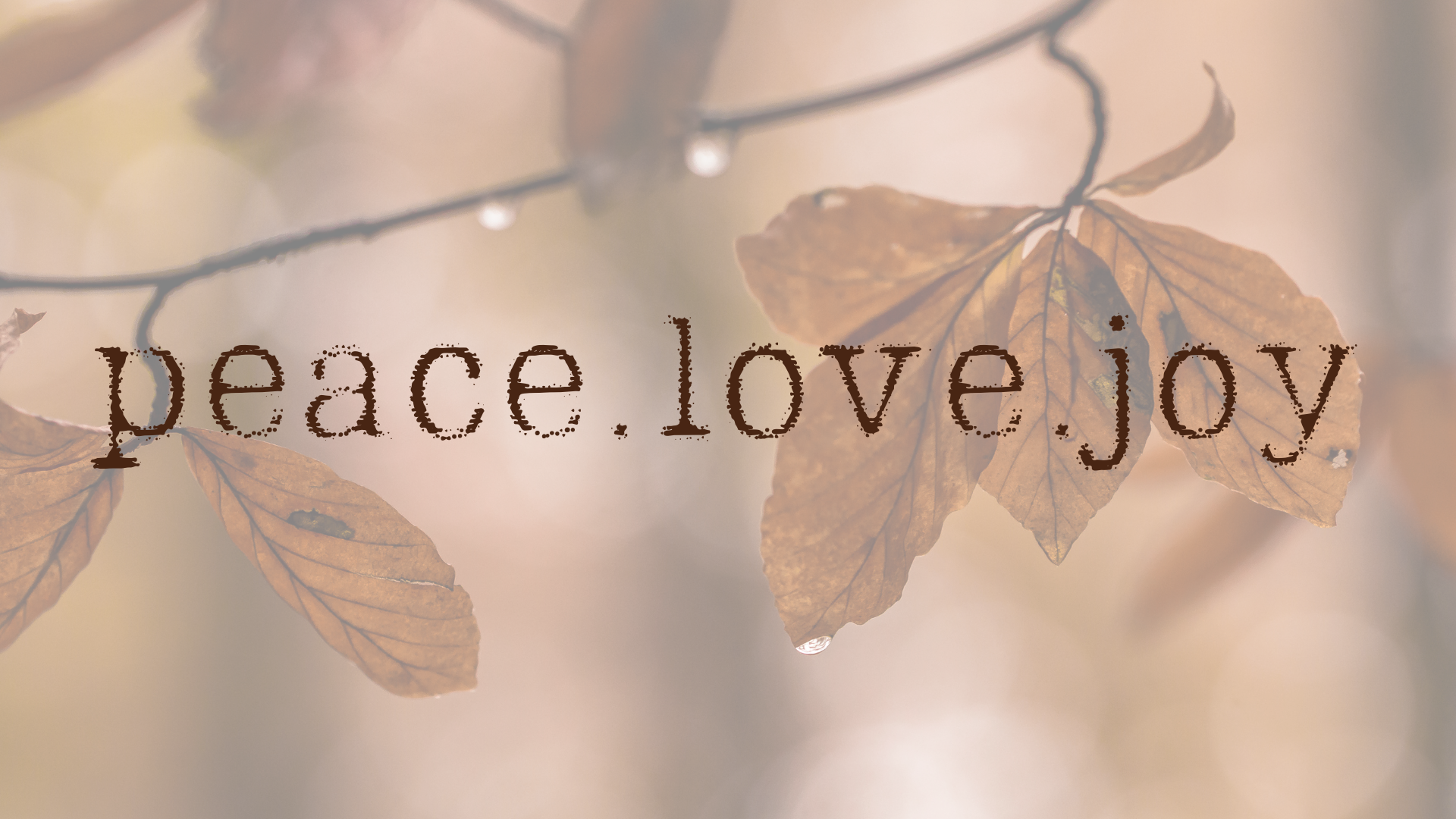 fall womens retreat