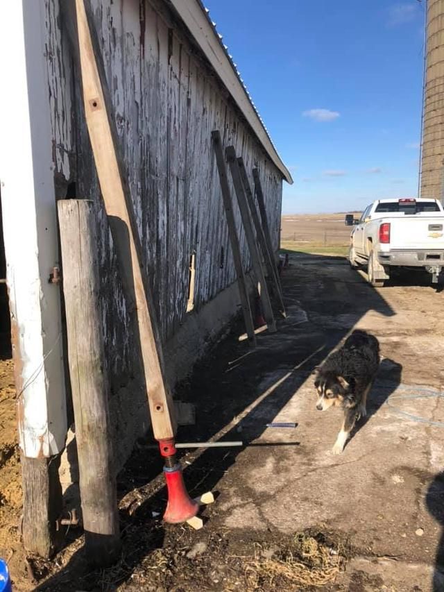 A tall wooden tool leans against a weathered barn wall, a dog walks nearby. Bright sunny day.