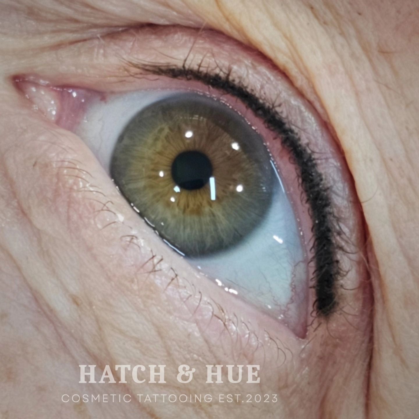 Close-up of an eye with a permanent eyeliner tattoo. Eye is brown with subtle wrinkles.