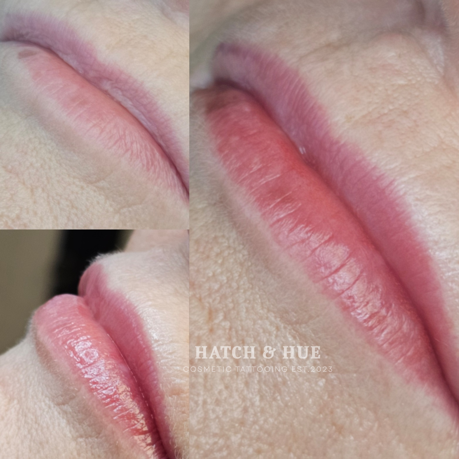 Close-up of pink lip blush cosmetic tattoo on a person's lips, with slight variations in angle and lighting.