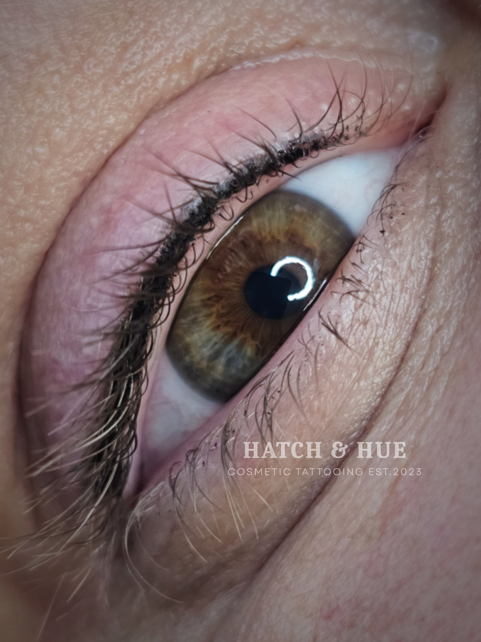 Close-up of a brown eye with eyeliner and lashes;