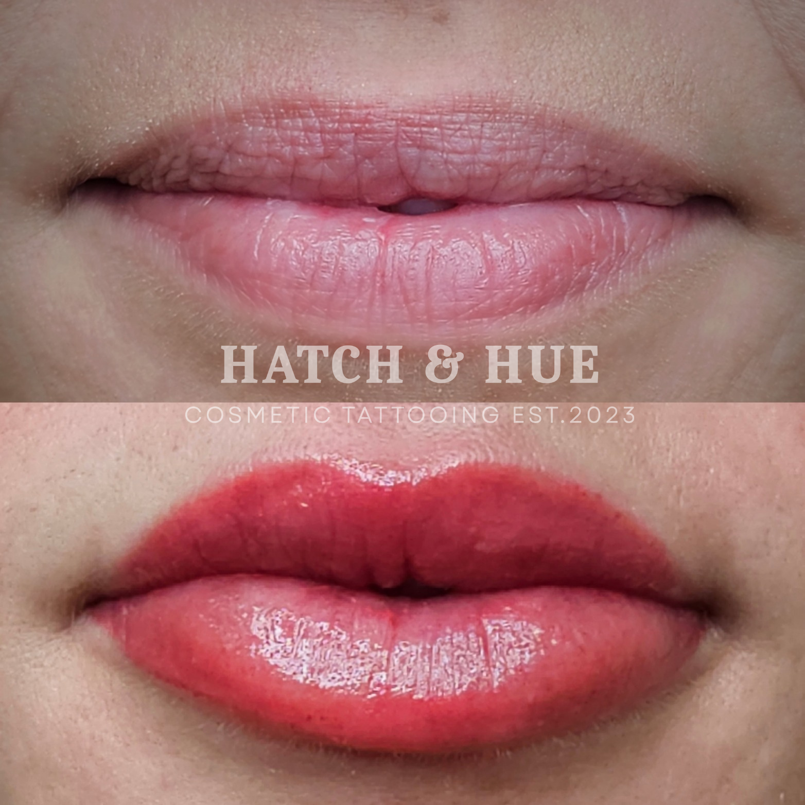 Before and after cosmetic lip tattoo. Top lips pale, bottom lips vivid red.