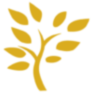 A yellow tree branch with leaves on a white background.