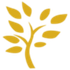 A yellow tree branch with leaves on a white background.