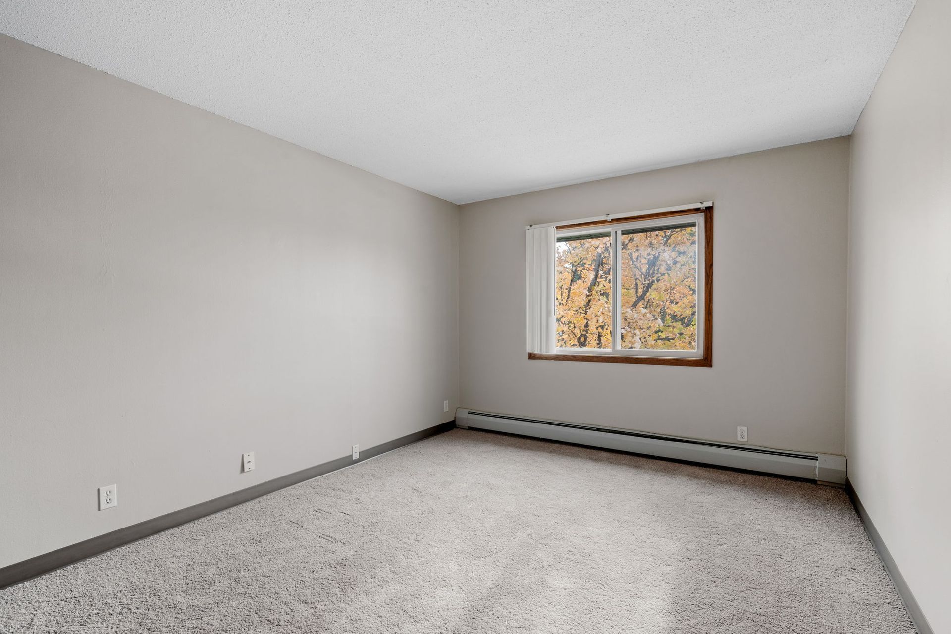 An empty room with a window and a carpeted floor.