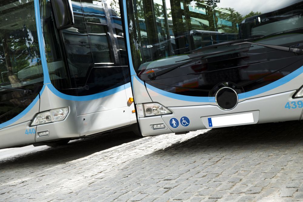Two Buses Parked Side By Side On A Paved Road — ABC Driving School Central Coast In Umina Beach, NSW