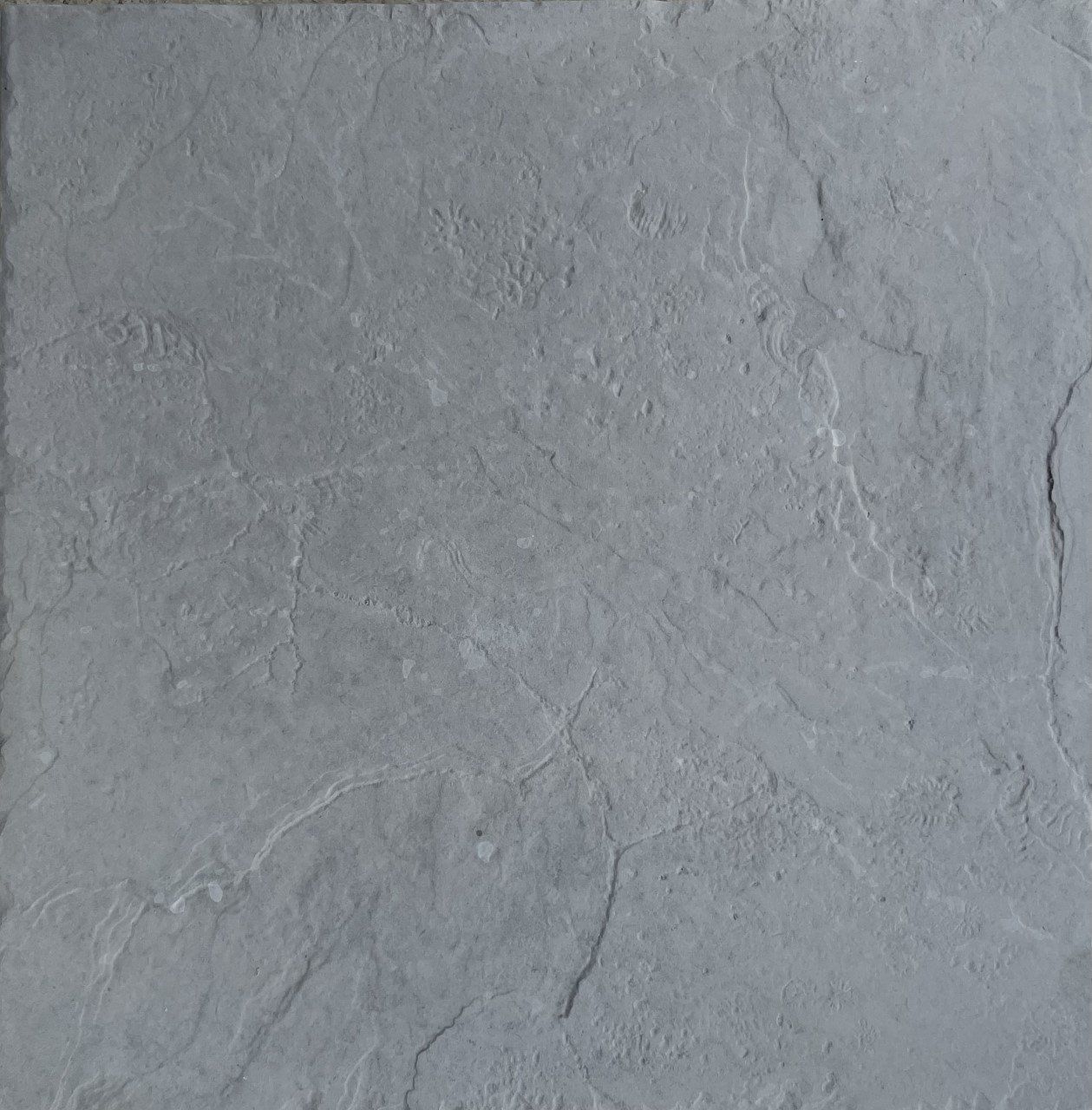 Bluestone Fossil pavers from Paving Innovations Marlborough Nelson