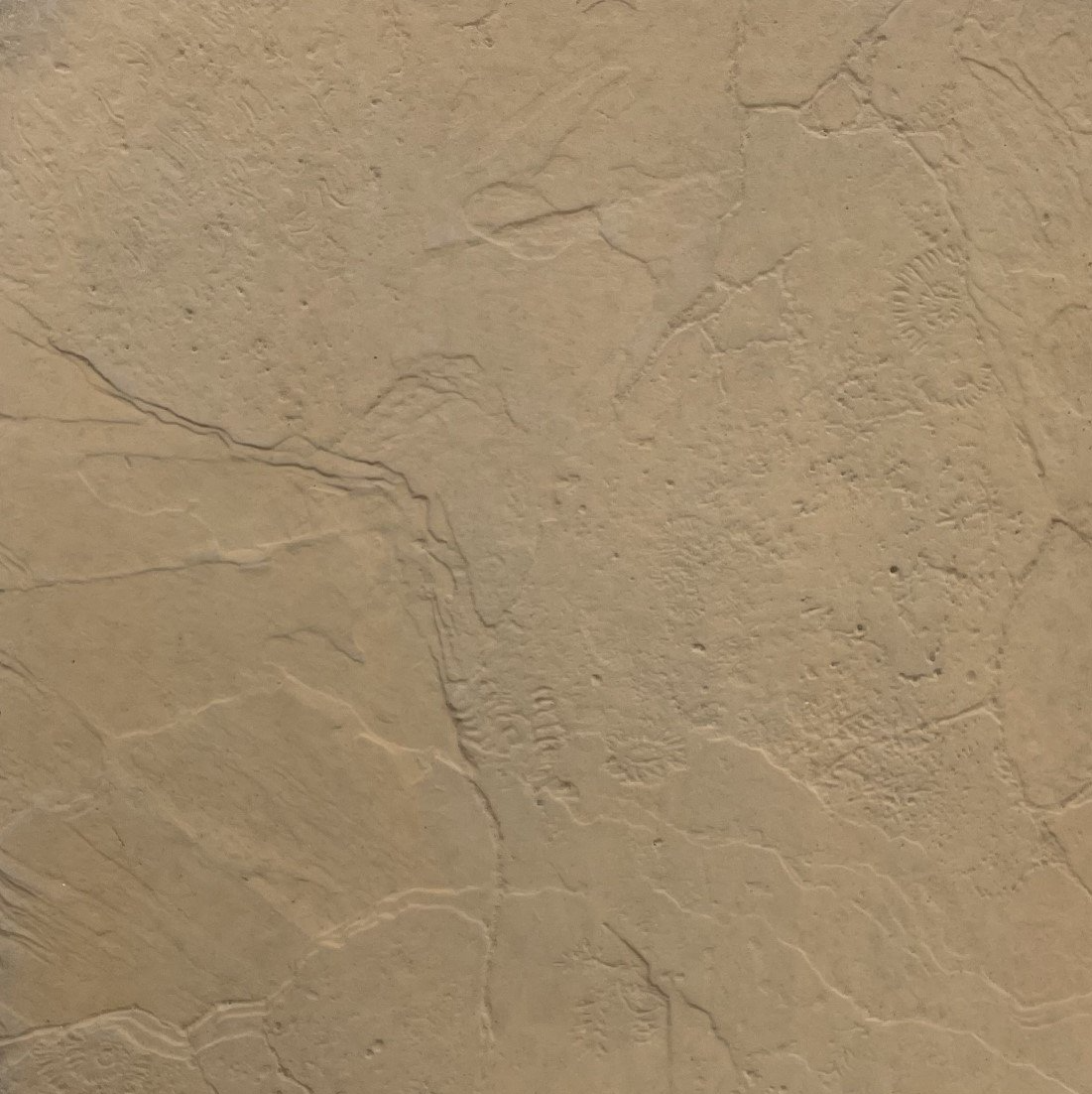 Desert Sand Fossil pavers from Paving Innovations Marlborough Nelson