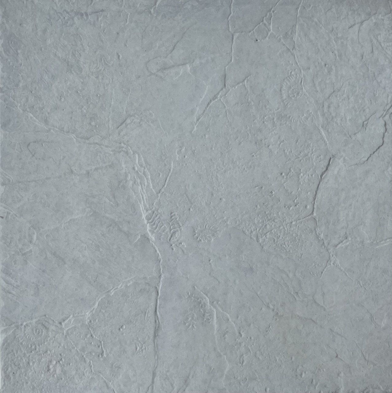 Fossil paver series from Paving Innovations Marlborough Nelson