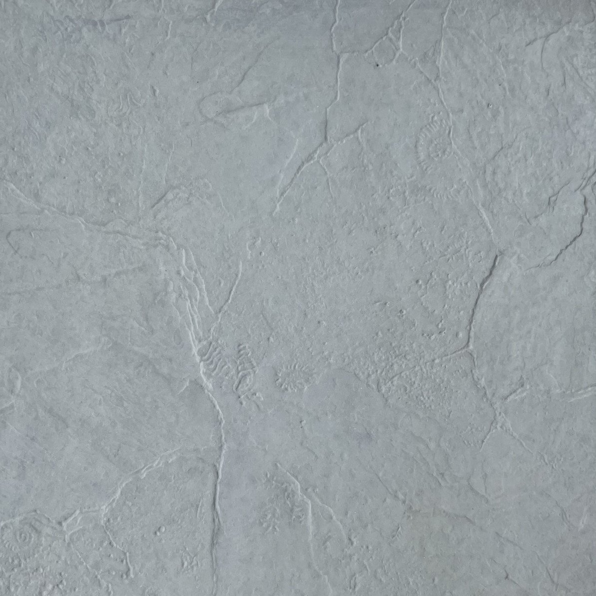 Natural Fossil pavers from Paving Innovations Marlborough Nelson