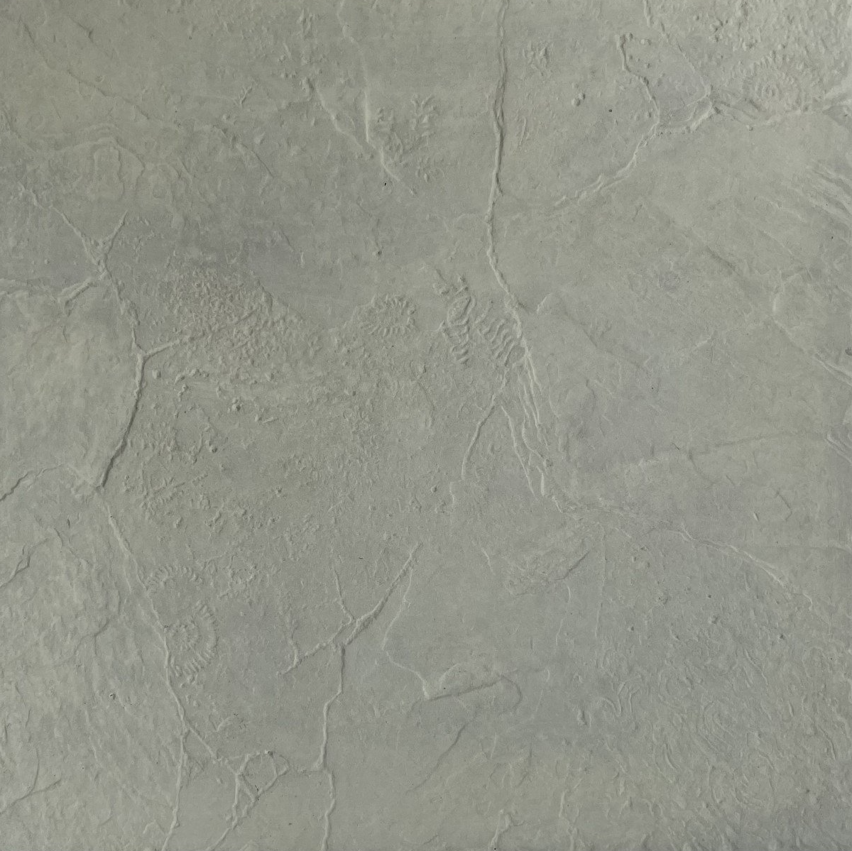 Sandstone Fossil pavers from Paving Innovations Marlborough Nelson