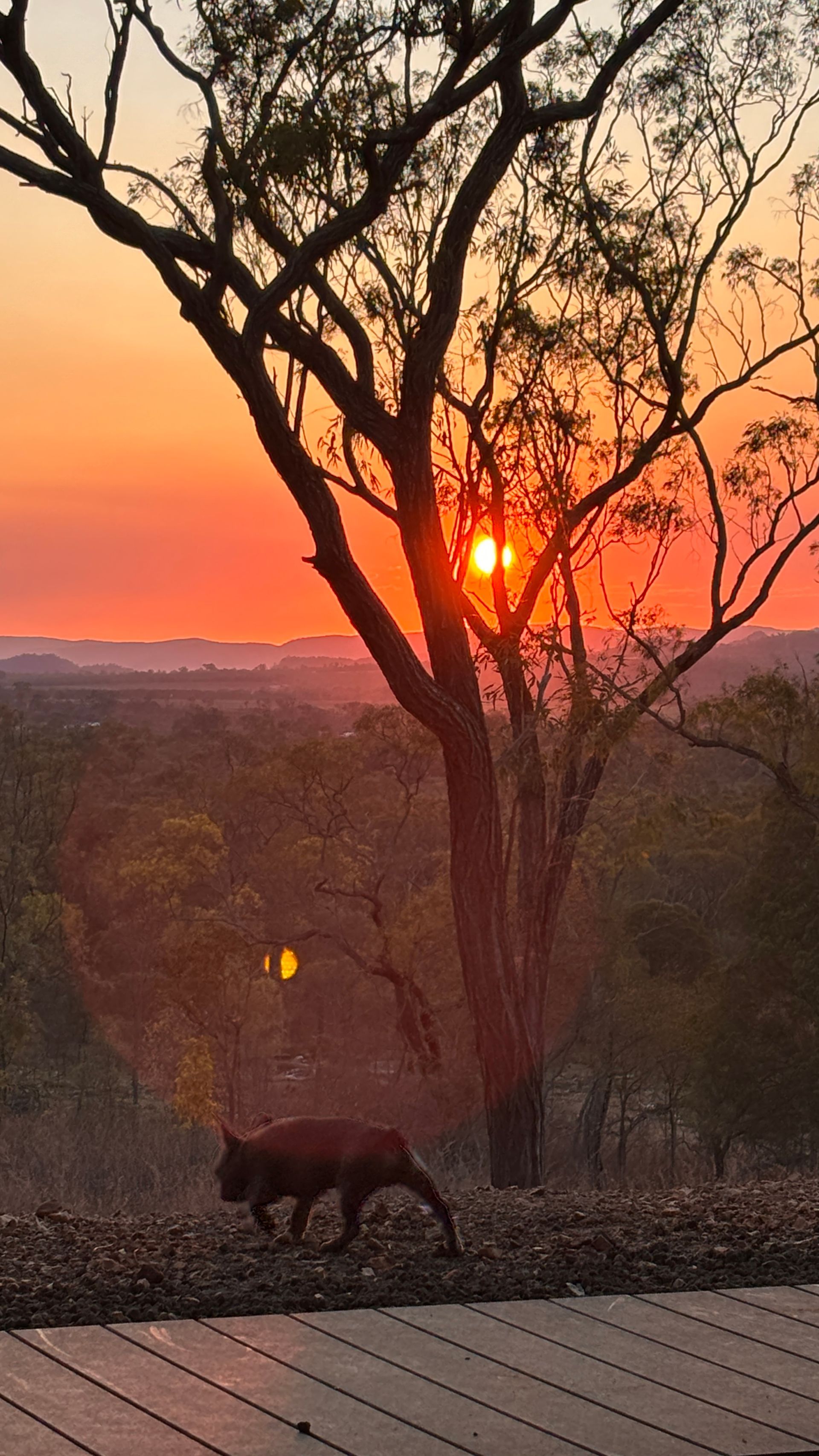 A Picture Of A Sunset — The Portaloo Co in Dimbulah, QLD