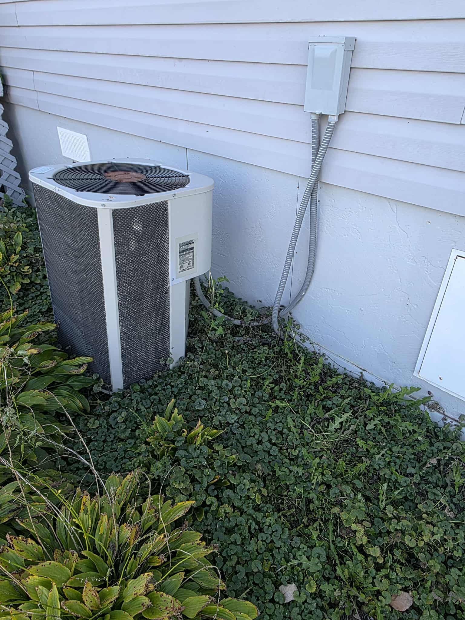 Outdoor air conditioning unit next to a house, surrounded by green plants.