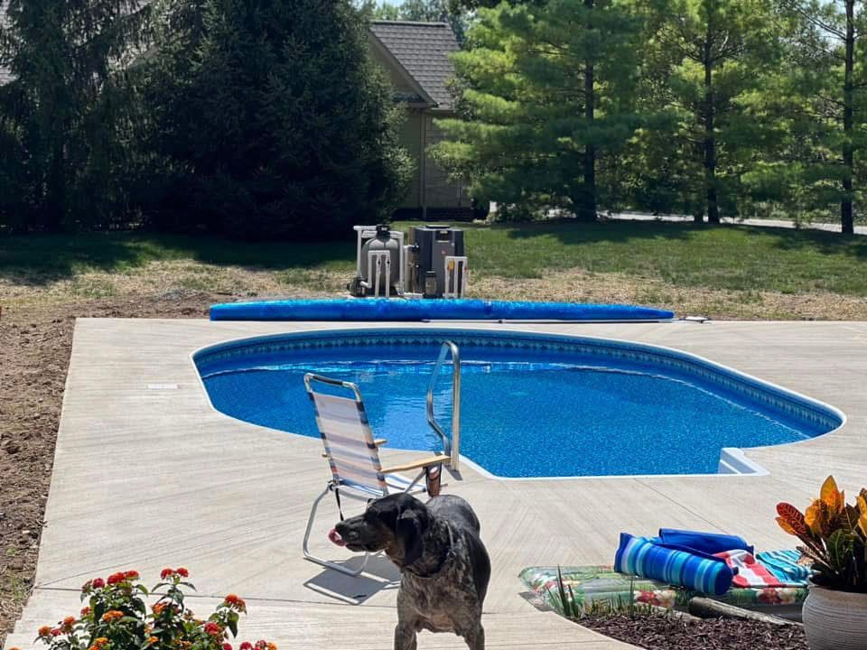 A dog is standing in front of a swimming pool.