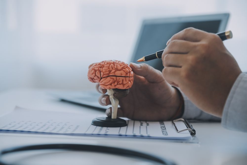 A doctor is holding a model of a brain and writing on a piece of paper.