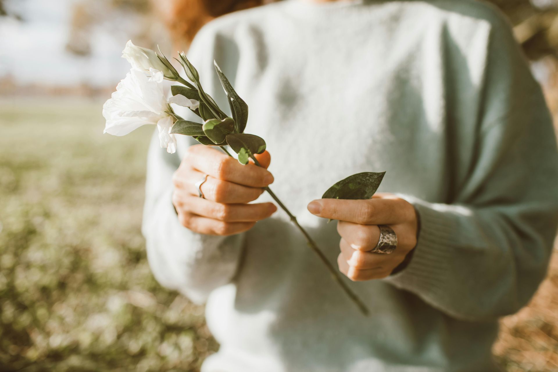 Grief & Life Transitions