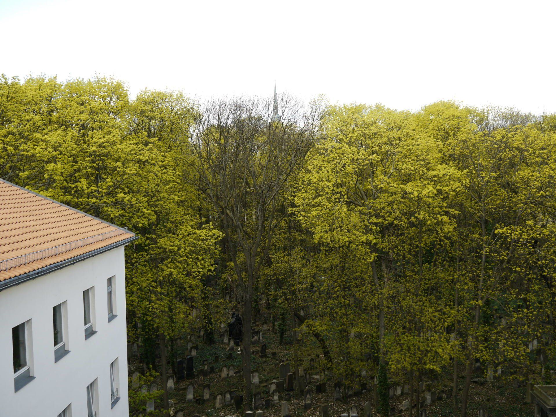 Ein weißes Gebäude mit rotem Dach ist von Bäumen umgeben.