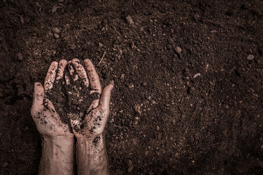 A Person is Holding a Pile of Dirt in Their Hands — Chooks Sand And Gravel In Paget, QLD