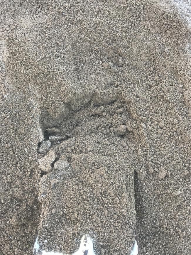 A Pile of Sand With a Footprint in It — Chooks Sand And Gravel In Paget, QLD