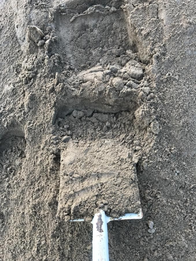 A Shovel Filled With Sand is Sitting on Top of a Pile of Sand — Chooks Sand And Gravel In Paget, QLD