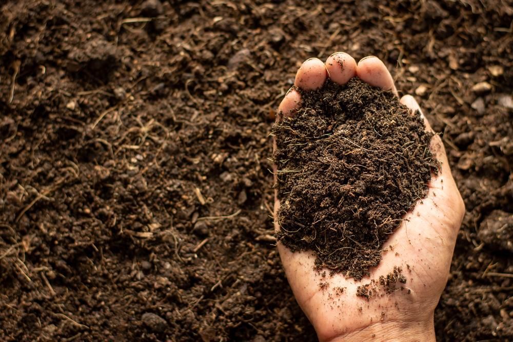 A Person is Holding a Pile of Dirt in Their Hand — Chooks Sand And Gravel In Paget, QLD