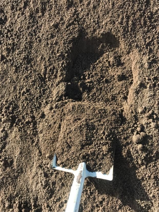 A Shovel is Sitting on Top of a Pile of Dirt — Chooks Sand And Gravel In Paget, QLD