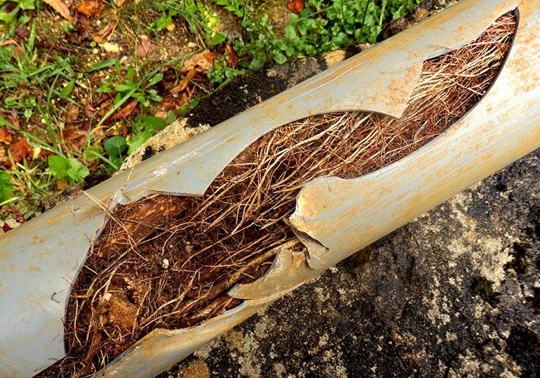 Drain Pipe With Roots — Sergeant Bluff, IA — Speedy Rooter Plumbing