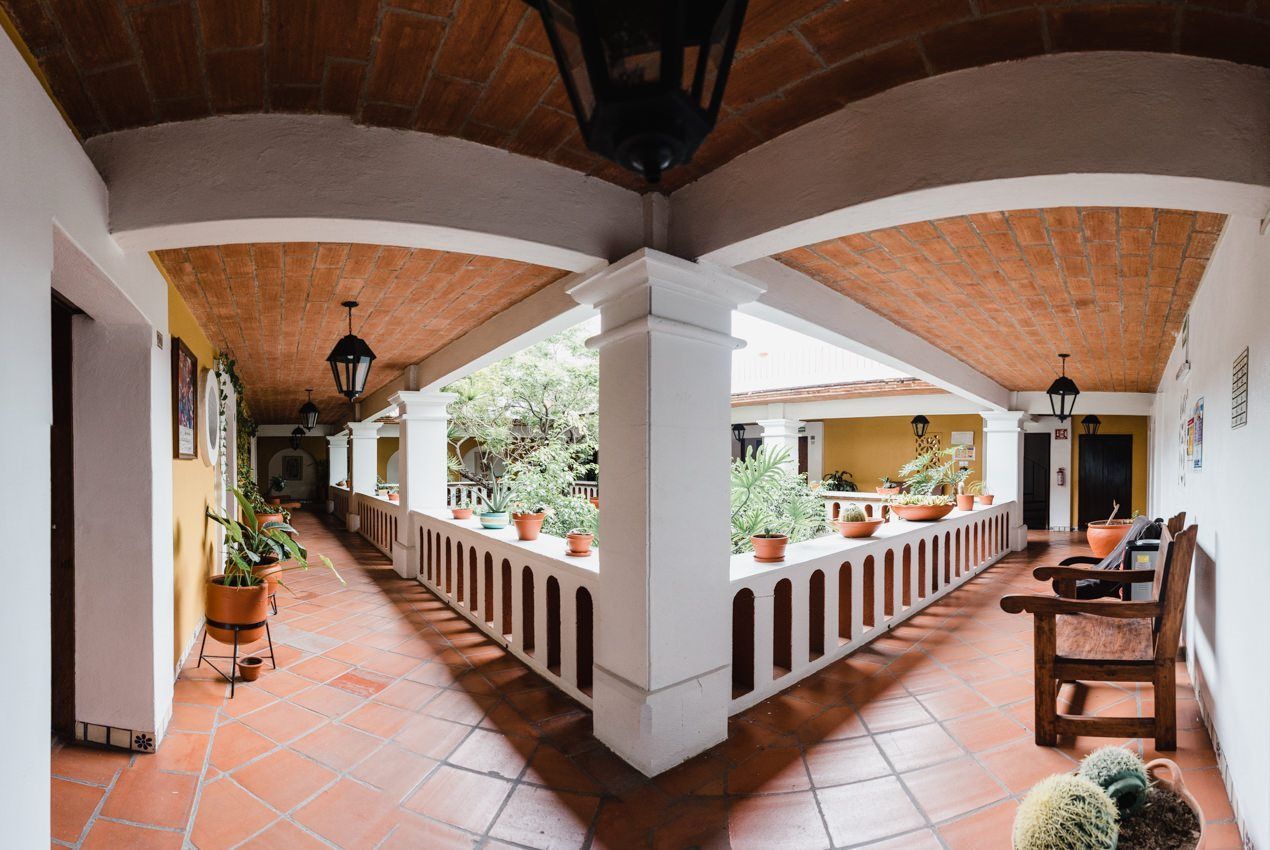 Un largo pasillo con un banco y plantas en macetas.