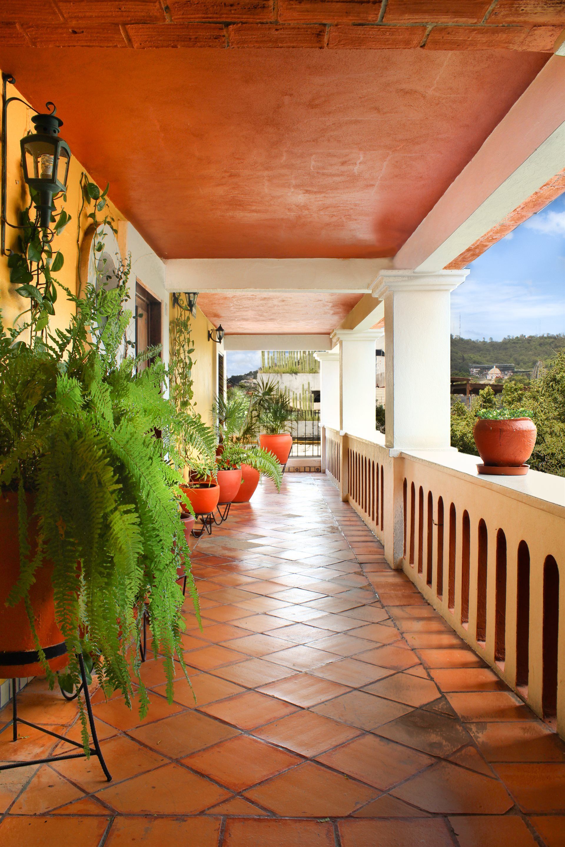 Un largo pasillo con plantas en macetas a un lado