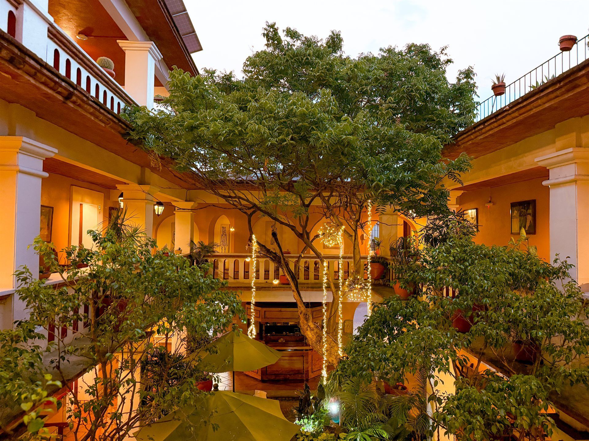 Patio HOTEL PARADOR DEL DOMINICO