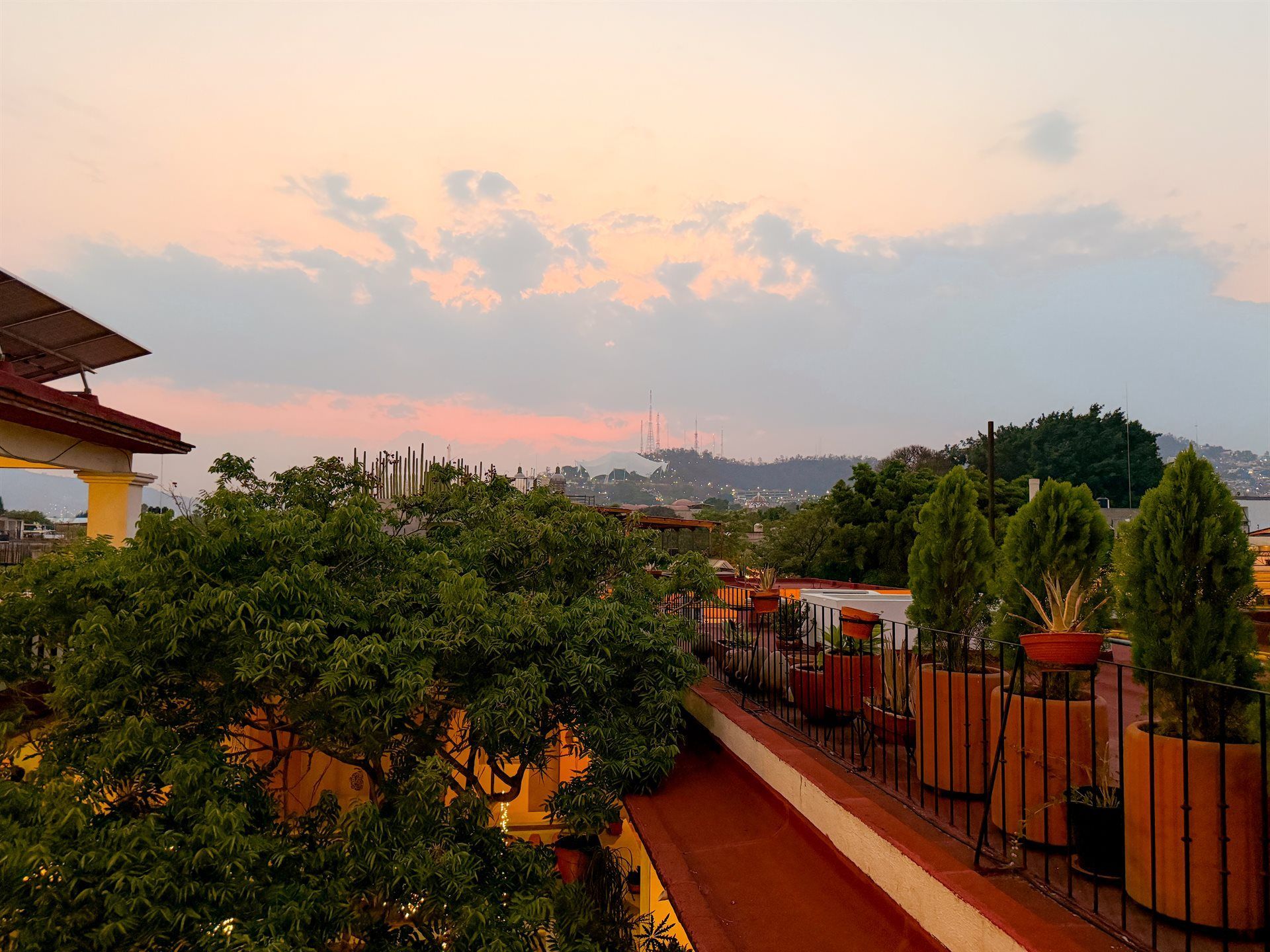 Una puesta de sol sobre un jardín en la azotea con árboles y plantas en macetas.