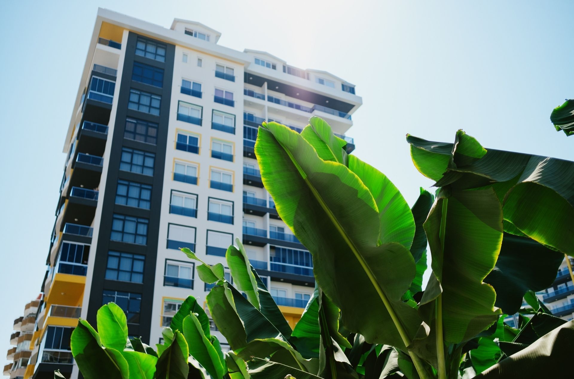 Condo Insurance vs. Homeowners Insurance: Key Differences California Buyers Must Know