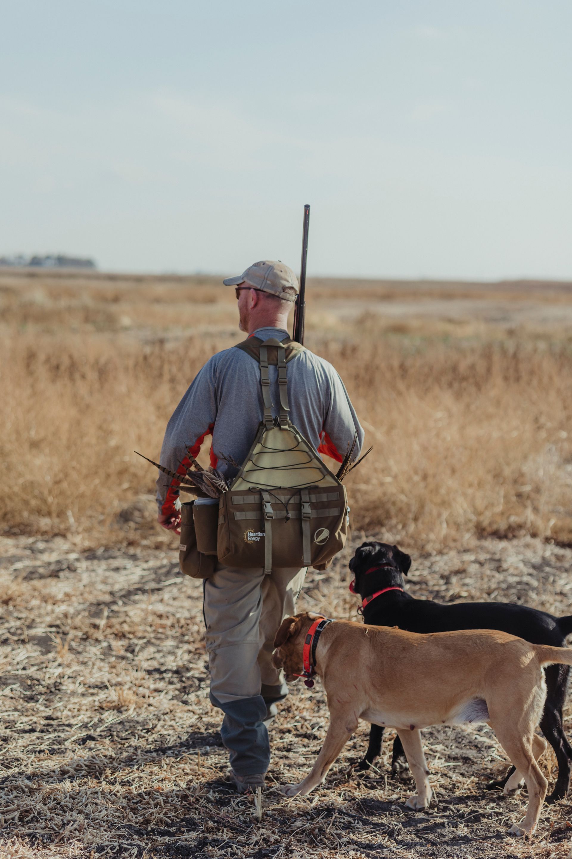 Prices for South Dakota pheasant guides