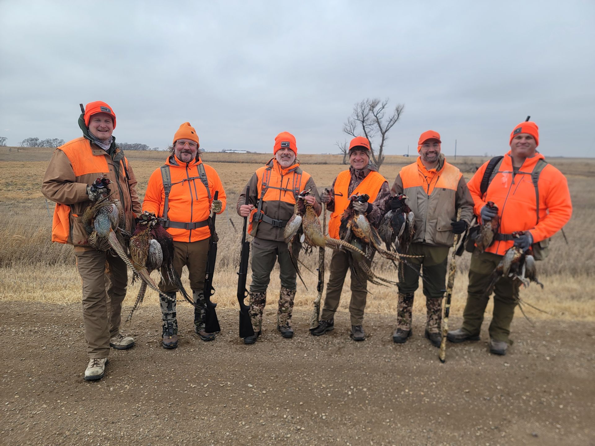 hunt pheasants in SD with a guide