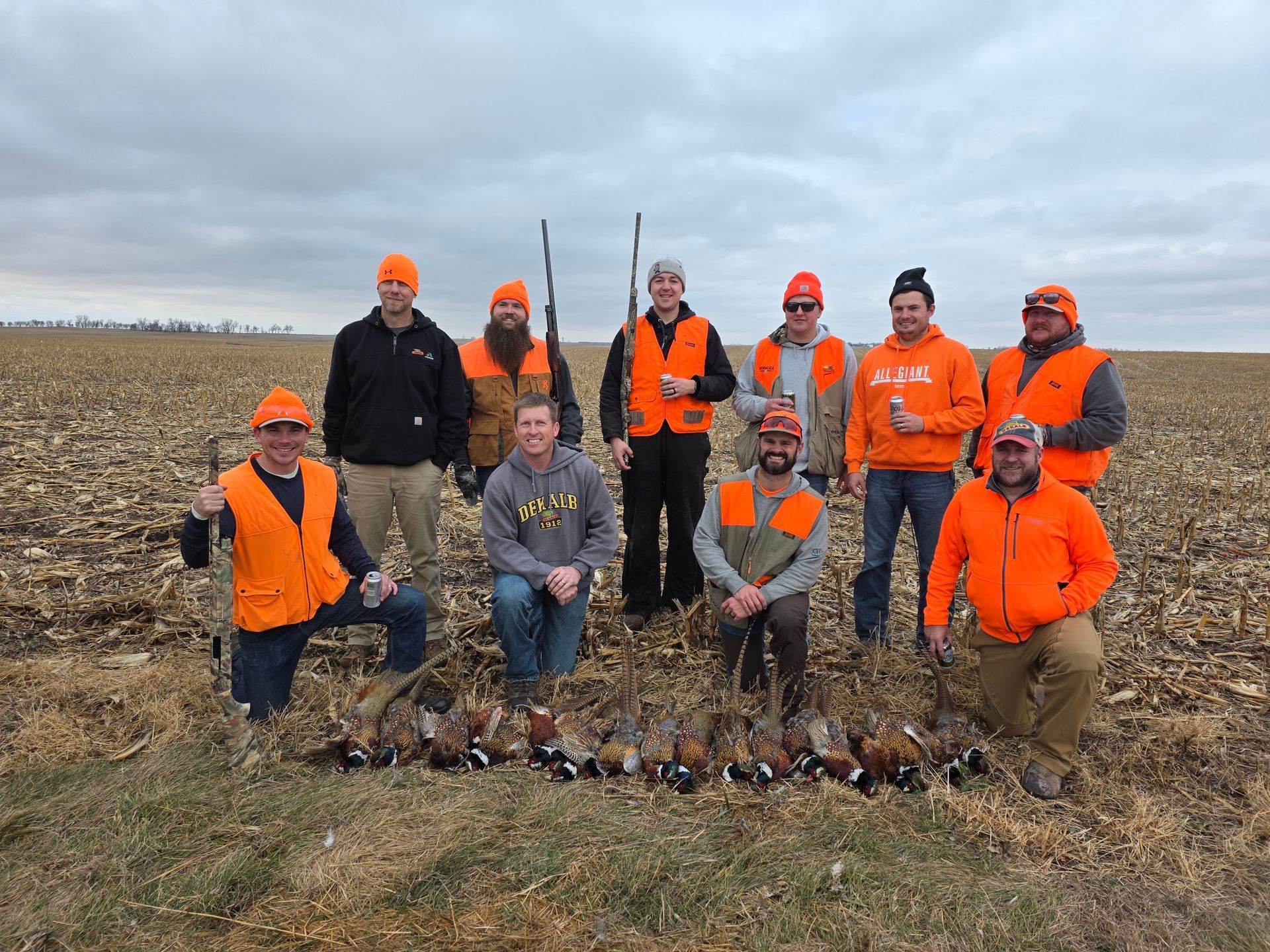 Guided pheasant hunts SD