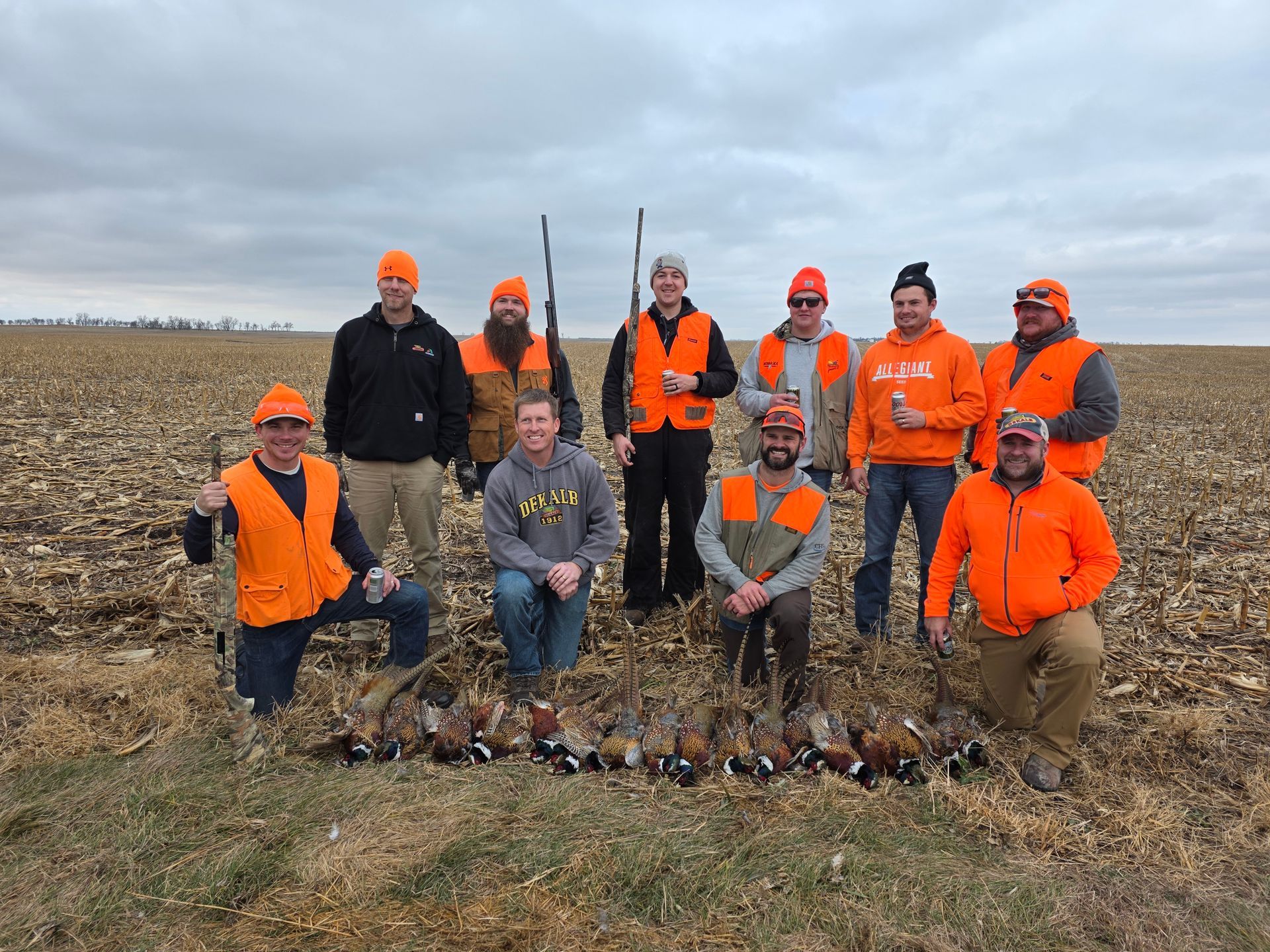 pheasant lodging