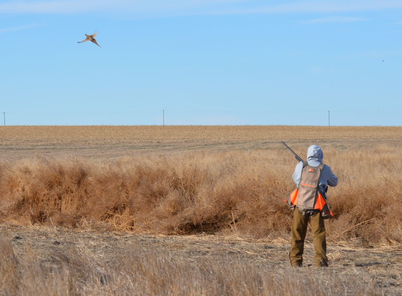 pheasant hunts in South Dakota with lodging