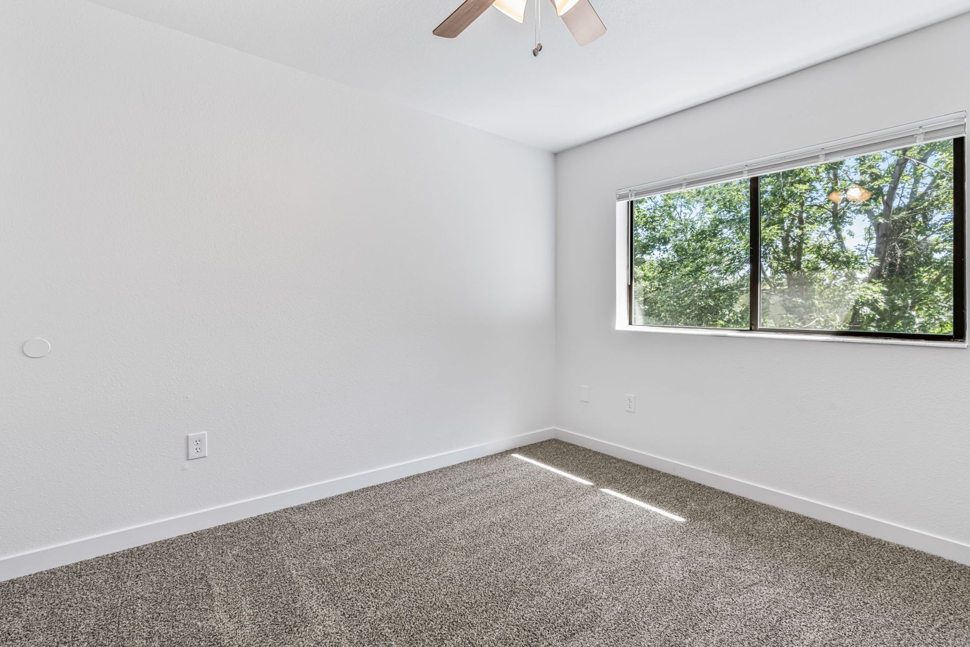 Empty room with gray carpet, white walls, and a window overlooking trees.