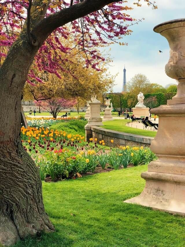 A tree in a park with flowers and a statue in the background - Mount Pleasant, SC - C&B Landscape LLC