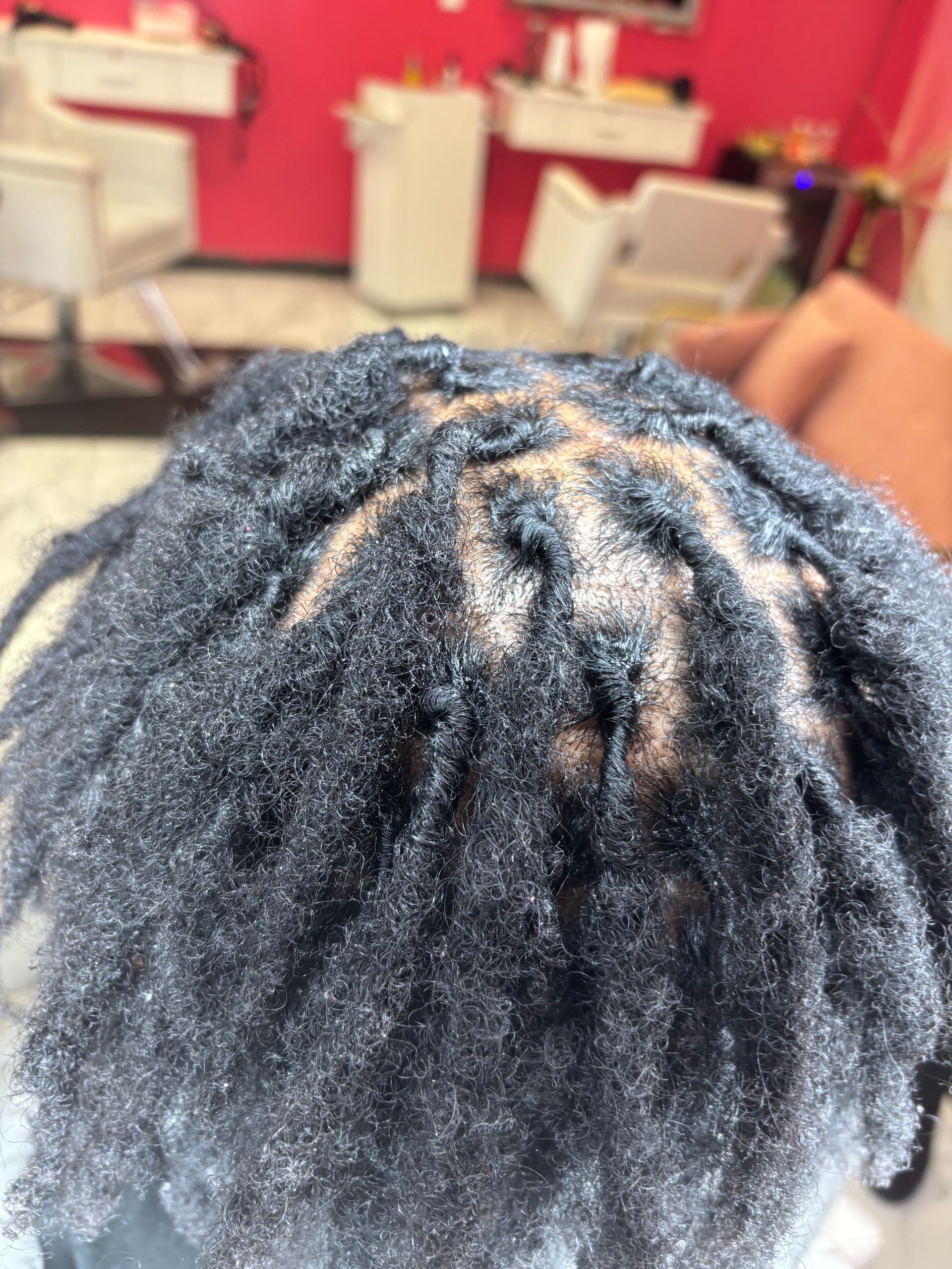 Close-up of hair styled into developing locs, with neatly parted sections, in a salon setting.
