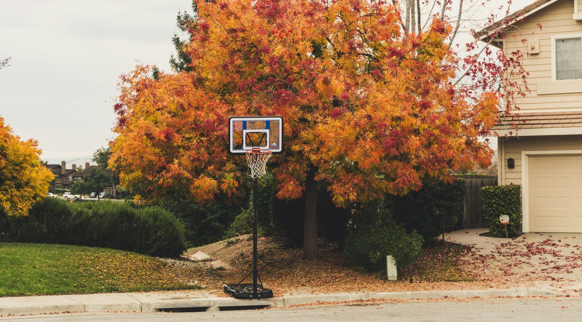 A basketball hoop is sitting under a tree in front of a house.