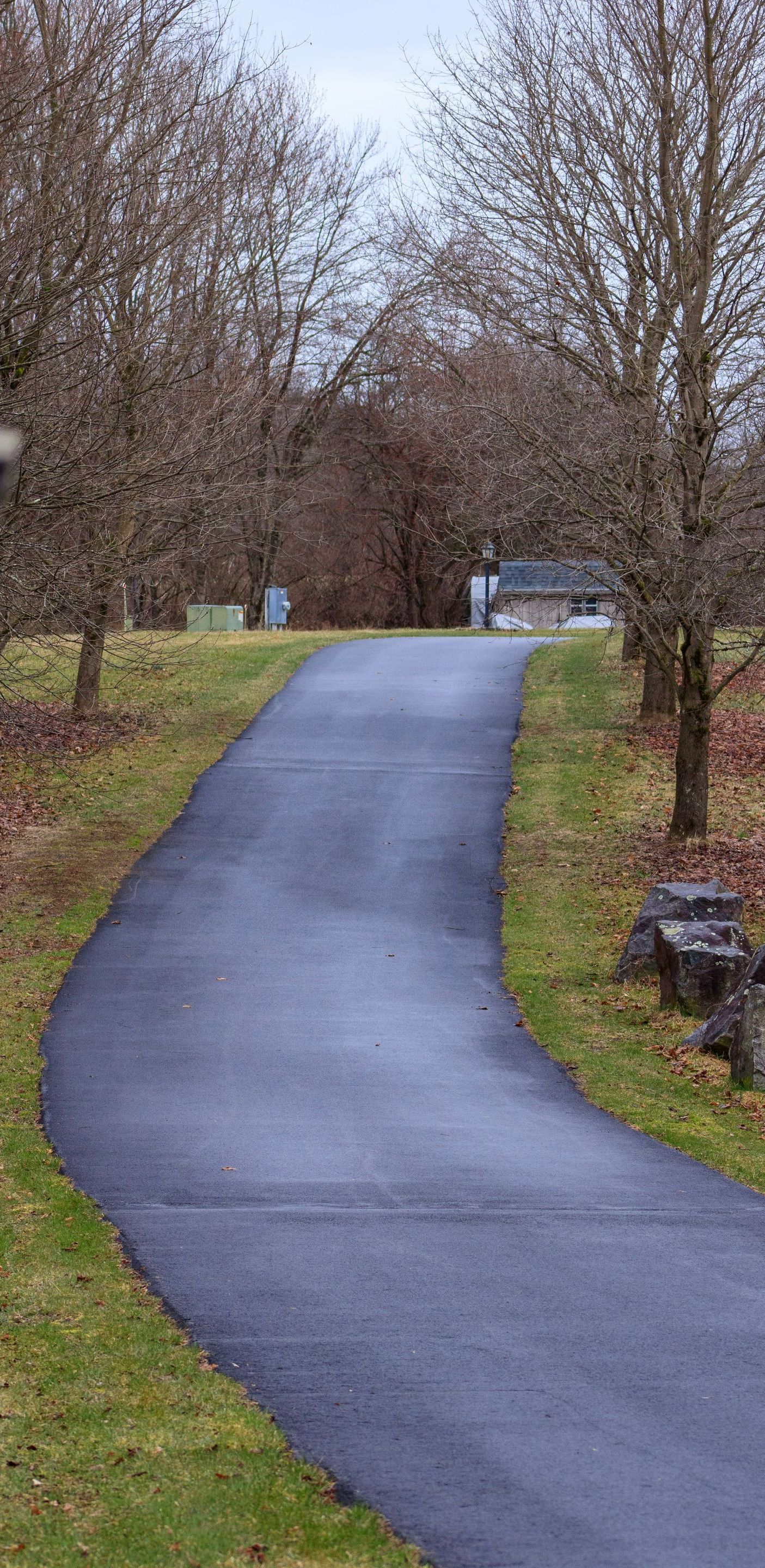 A curvy road going through a grassy field with trees on both sides.