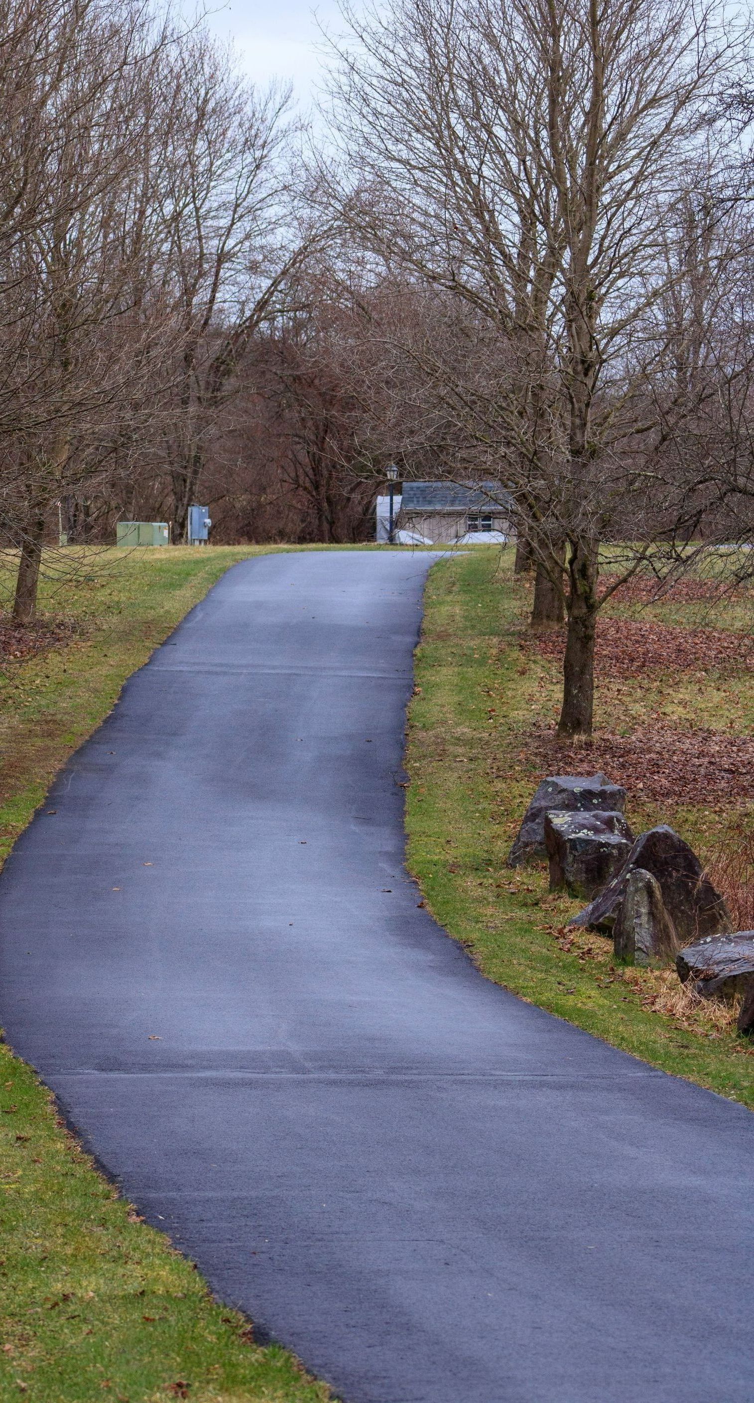 A road going through a park with trees on both sides.