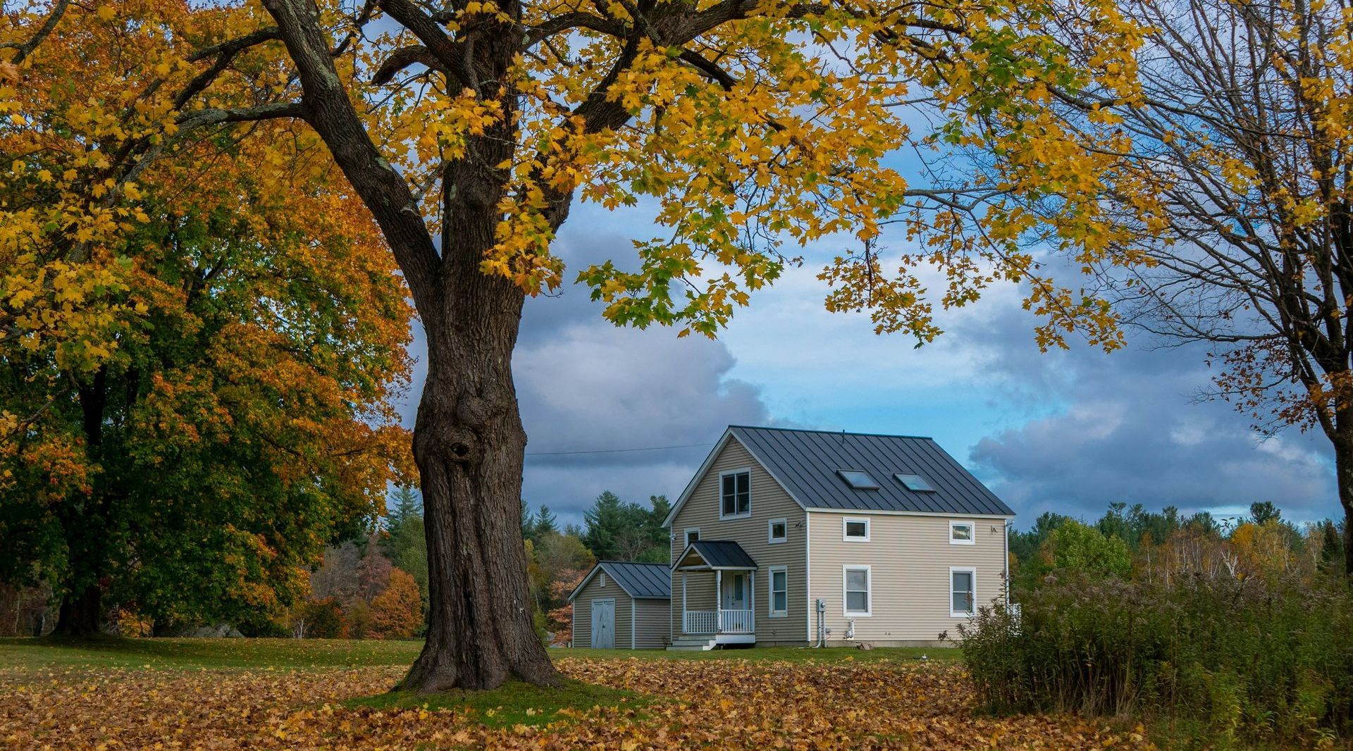 A house is surrounded by trees and leaves on a sunny day