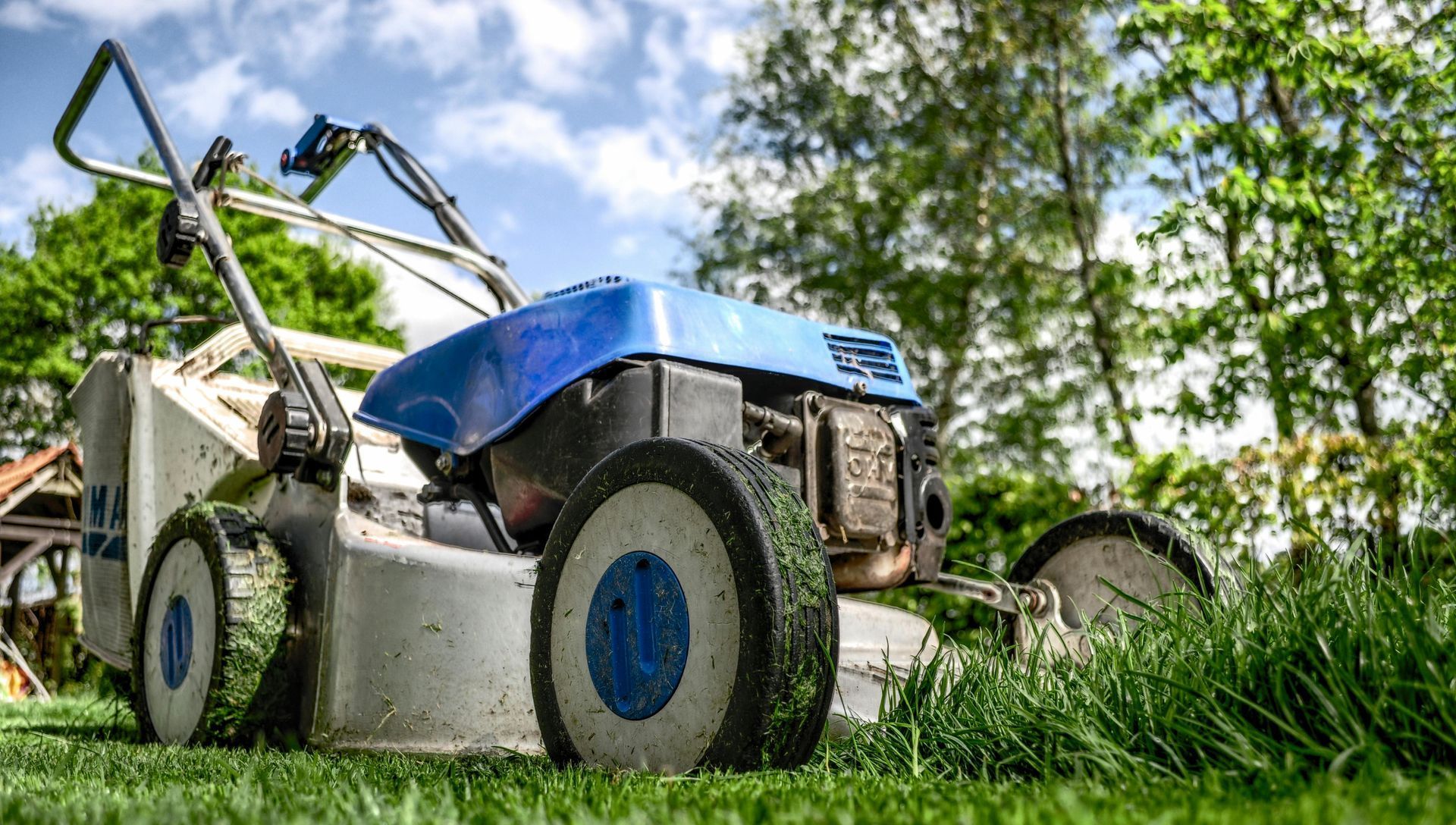 A blue and white lawn mower is sitting on top of a lush green lawn.