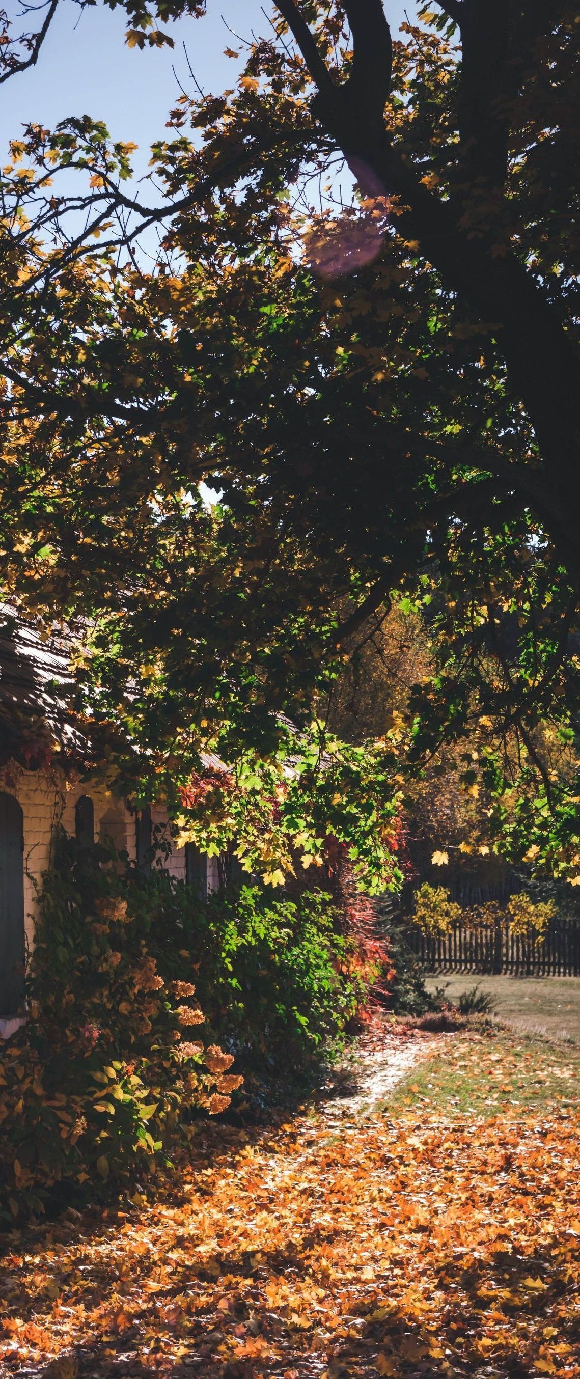 A house with a lot of leaves on the ground in front of it