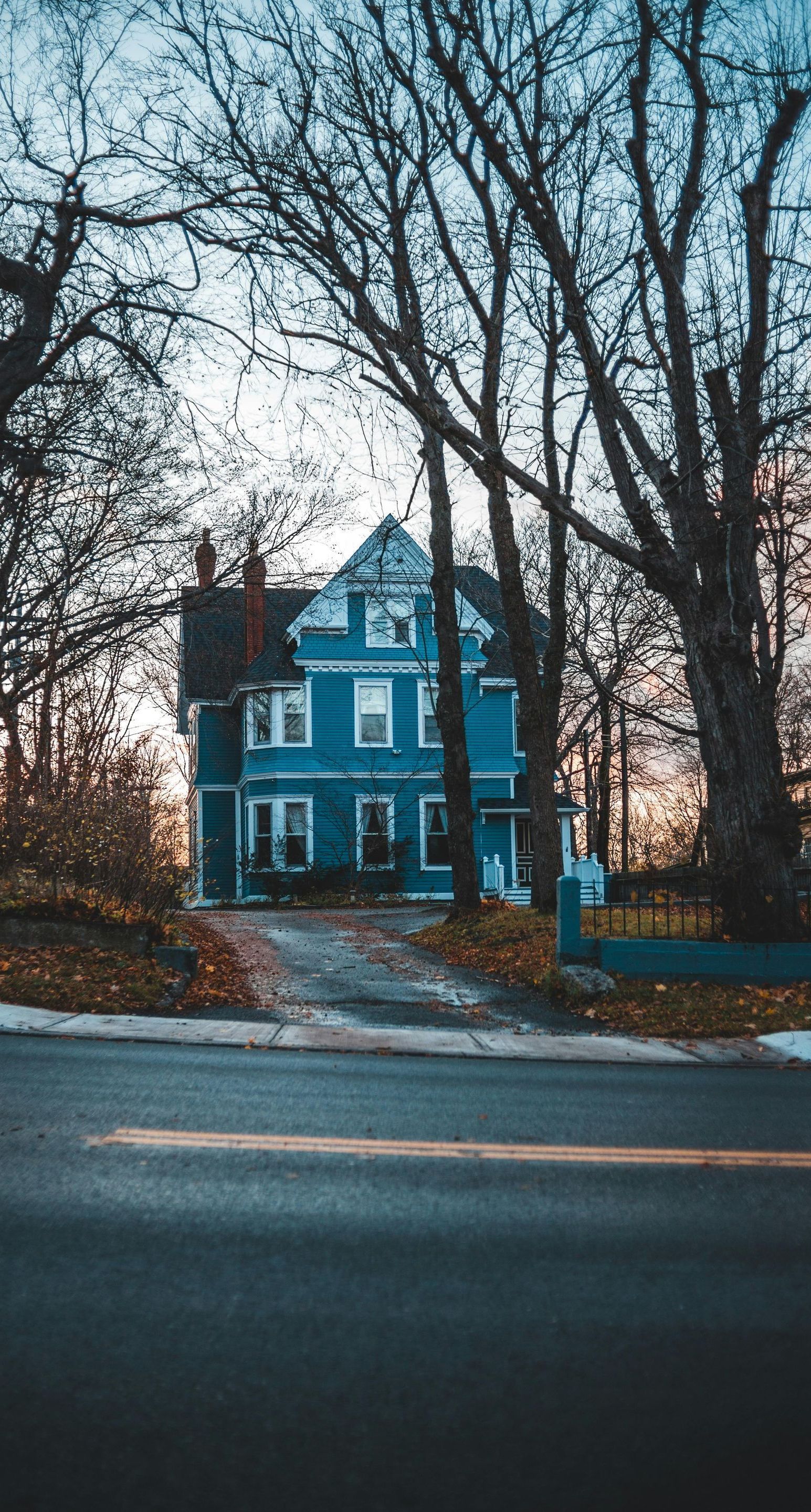 A blue house is sitting on the side of a road surrounded by trees.