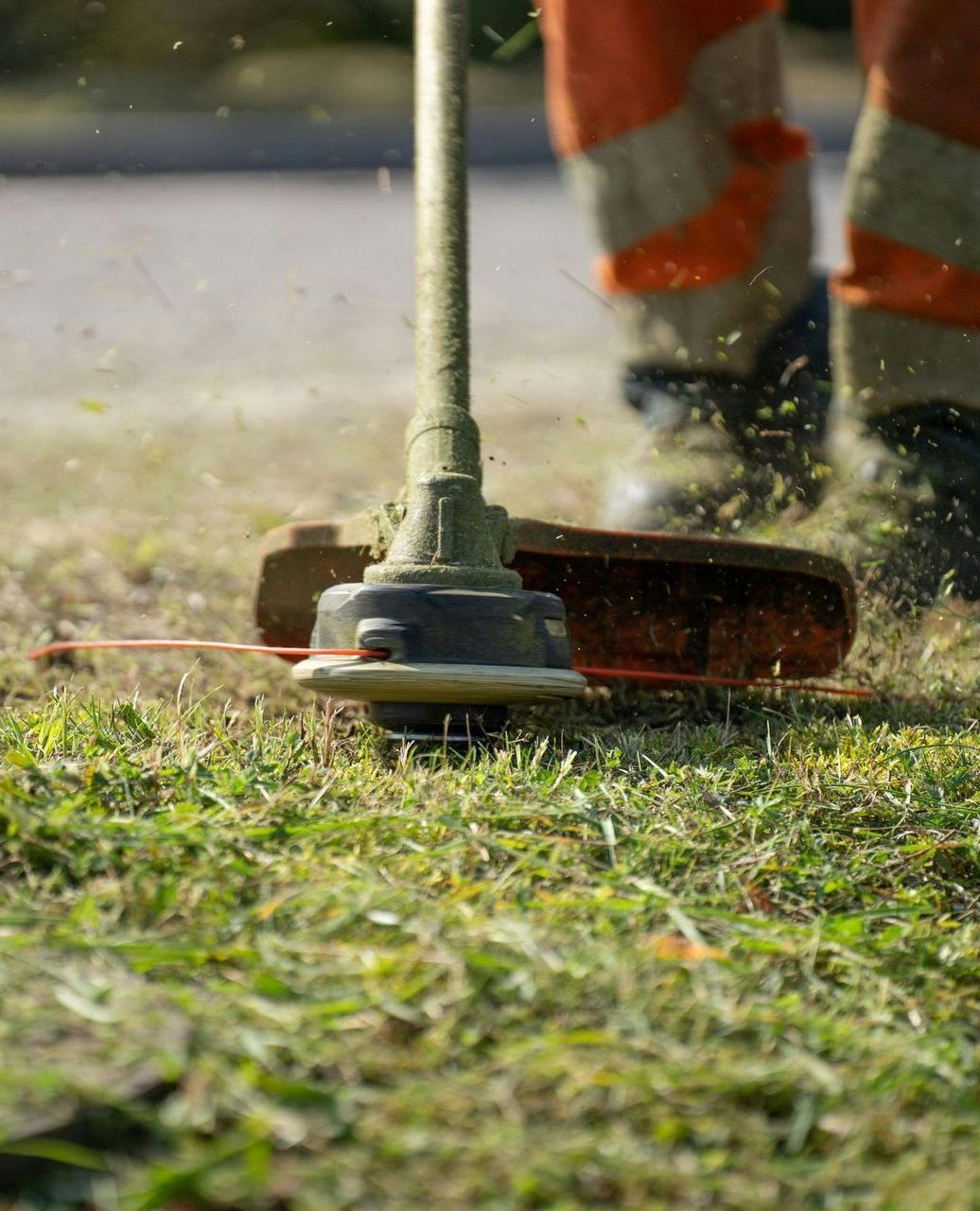 A person is using a lawn mower to cut the grass.