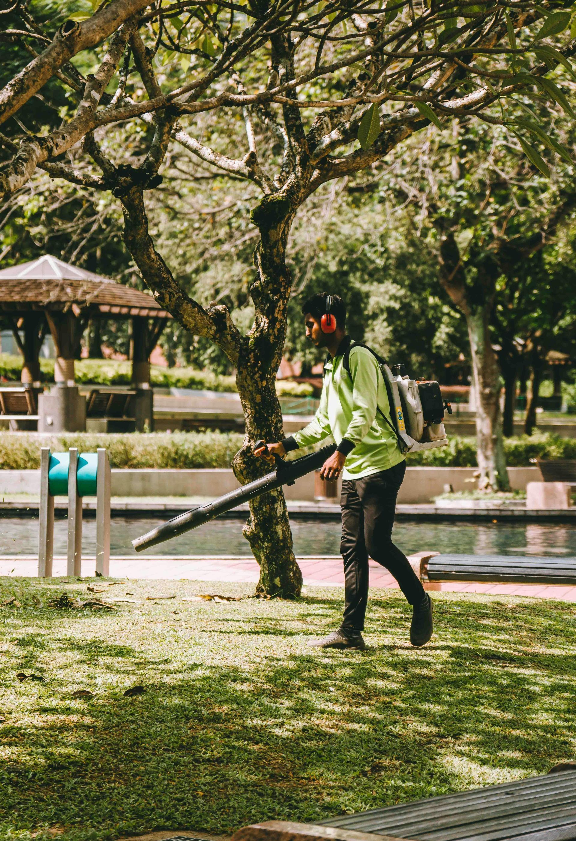 A man is blowing leaves from a tree in a park.